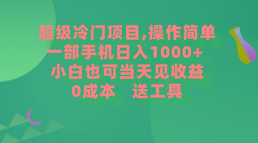 (9291期)超级冷门项目,操作简单，一部手机轻松日入1000+，小白也可当天看见收益-灼光资源宝库