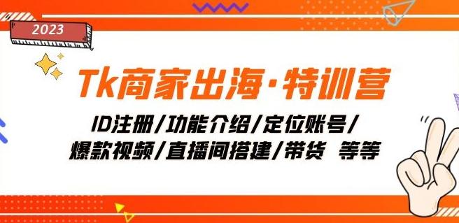 Tk商家出海·特训营：ID注册/功能介绍/定位账号/爆款视频/直播间搭建/带货-灼光资源宝库