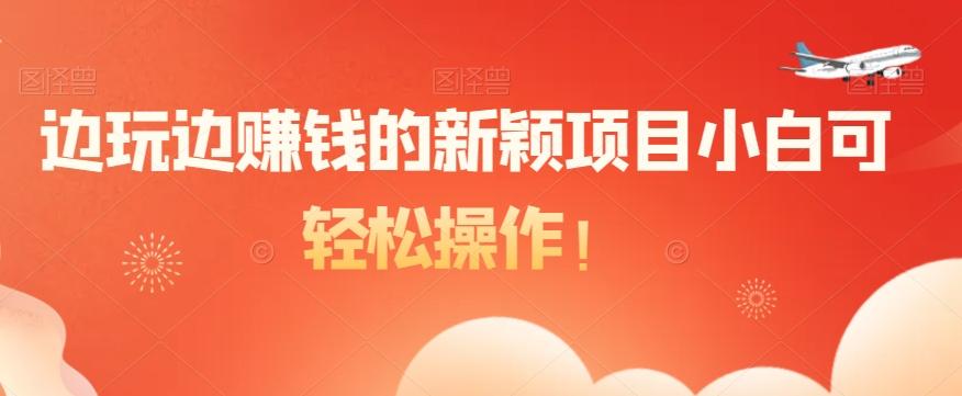边玩边赚钱的新颖项目小白可轻松操作！-灼光资源宝库