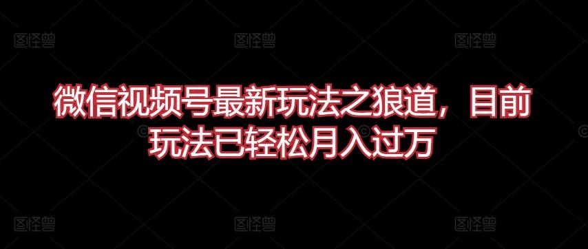 微信视频号最新玩法之狼道，目前玩法已轻松月入过万【揭秘】-蘑菇资源宝库