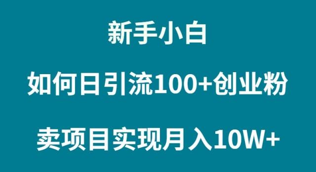 (9556期)新手小白如何通过卖项目实现月入10W+-灼光资源宝库