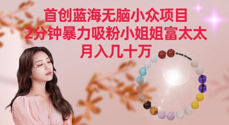 首创蓝海无脑小众项目，2分钟暴力吸粉小姐姐富太太，月入几十万【揭秘】-灼光资源宝库