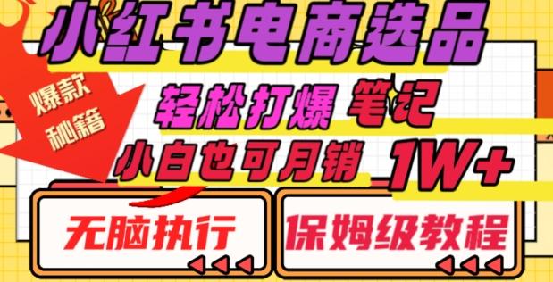 小红书电商爆款选品秘籍，帮你轻松打爆笔记，小白也可轻松月销10000+-灼光资源宝库