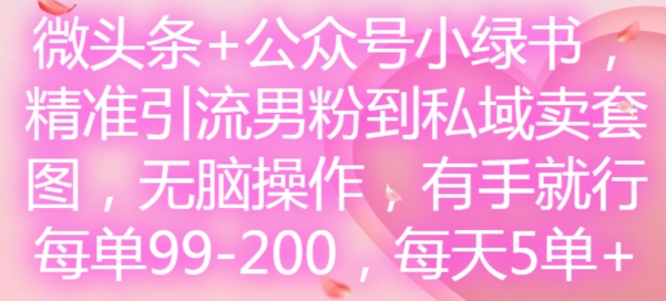 微头条+公众号小绿书，精准引流男粉到私域卖套图，无脑操作，有手就行，每单99-200，每天5单-灼光资源宝库