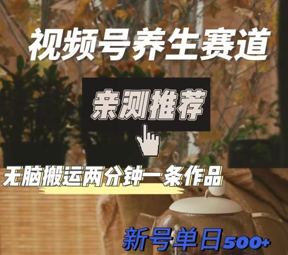视频号养生赛道暴力掘金，无脑搬运，两分钟一条作品-新日单入500+-灼光资源宝库