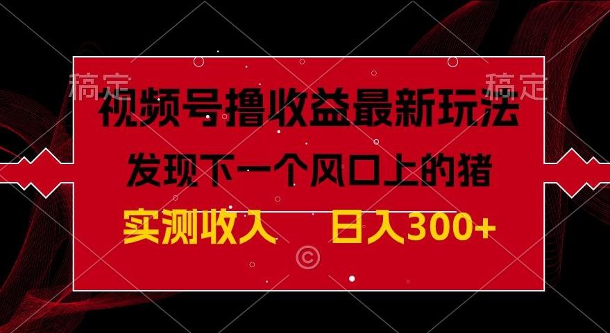视频号分成计划最新玩法，单条作品几分钟制作完成,日入300+，过年前最后的冲刺-灼光资源宝库