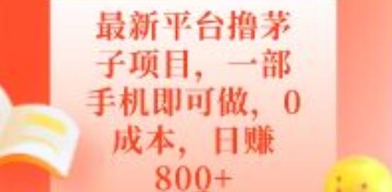 最新平台撸茅子项目，一部手机即可做，0成本，日赚800+-灼光资源宝库