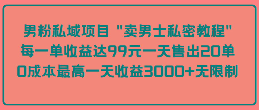 (9730期)男粉私域项目 “卖男士私密教程” 每一单收益达99元一天售出20单-灼光资源宝库
