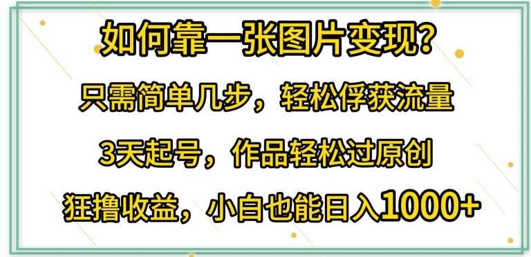 如何靠一张图片变现?只需简单几步，轻松俘获流量，3天起号，作品轻松过原创【揭秘】-灼光资源宝库