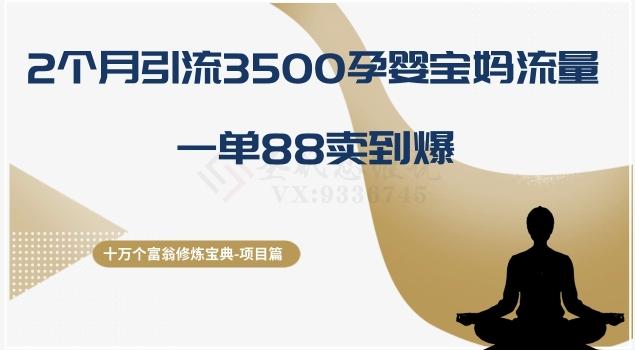十万个富翁修炼宝典之13.2个月引流3500孕婴宝妈流量，一单88卖到爆-灼光资源宝库
