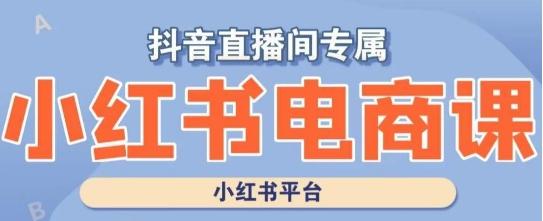 小红书电商高级运营课程，实操教学+案例分析-灼光资源宝库