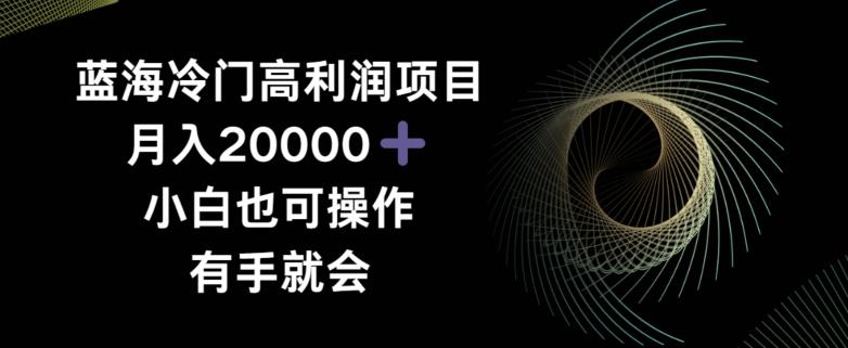 蓝海冷门高利润项目月入2000，小白也可操作有手就会-灼光资源宝库