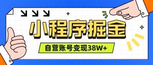 微信小程序掘金，团队自营小程序累计变现38W+，稳定运营三年，一部手机即可操作-灼光资源宝库