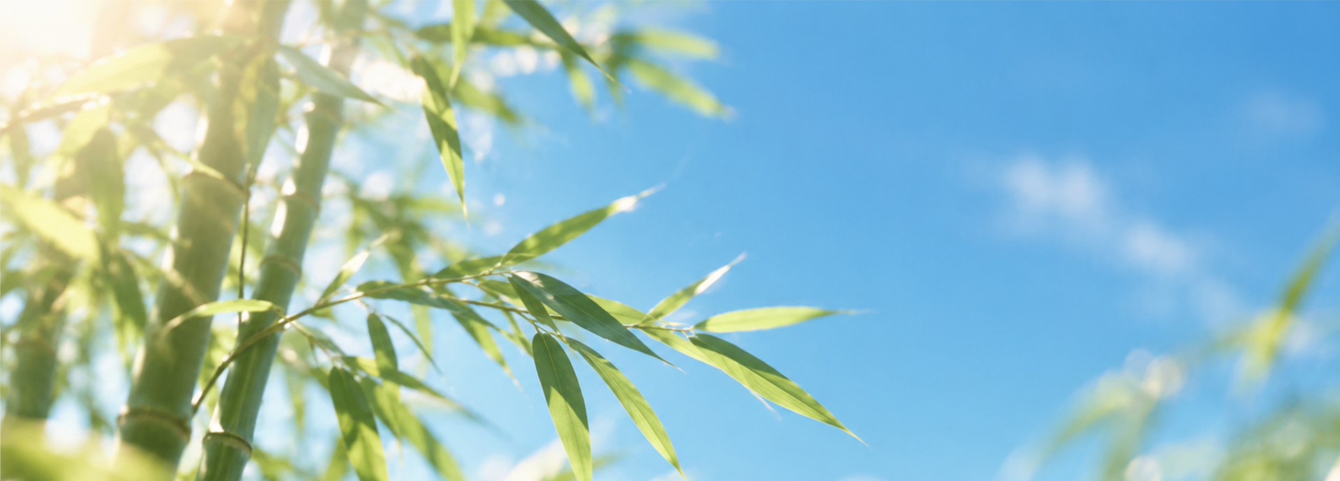 蘑菇资源宝库 - 专注互联网创业