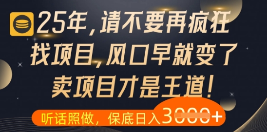 什么？25年你还在疯狂找项目做，醒醒吧，看完这些你全都懂了【揭秘】-灼光资源宝库