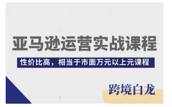 亚马逊运营实战课程,亚马逊从入门到精通,性价比高,相当于市面万元以上元课程-灼光资源宝库