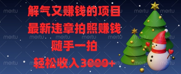 解气又挣钱的项目,最新违章拍照挣钱,随手一拍,轻松收入数张【揭秘】-灼光资源宝库