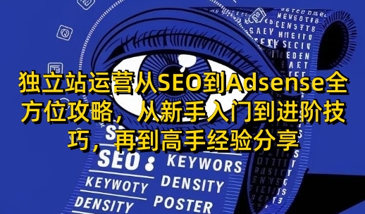 独立站运营从SEO到Adsense全方位攻略，从新手入门到进阶技巧，再到高手经验分享-灼光资源宝库
