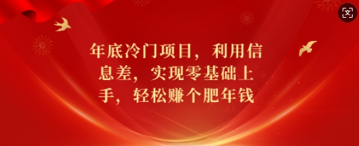 年底冷门项目，利用信息差，实现零基础上手，轻松赚个肥年钱【揭秘】-灼光资源宝库