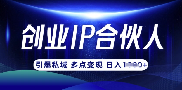 云帆·创业ip合伙人打造3.0,从0到1教你做网创,实现月入过W-灼光资源宝库