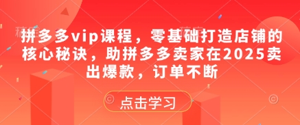 拼多多vip课程，零基础打造店铺的核心秘诀，助拼多多卖家在2025卖出爆款，订单不断-蘑菇资源宝库