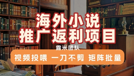 海外小说推广返利项目，视频投喂， 一刀不剪，矩阵批量-灼光资源宝库