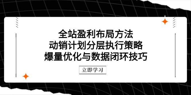 全站盈利布局方法：动销计划分层执行策略，爆量优化与数据闭环技巧-灼光资源宝库
