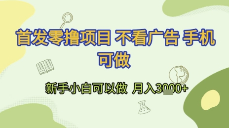 首发零撸项目 不看广告 手机可做 新手小白可以做  月入3k+【揭秘】-灼光资源宝库