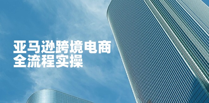 亚马逊跨境电商全流程实操，教你从零开始，掌握店铺运营与广告技巧-蘑菇资源宝库