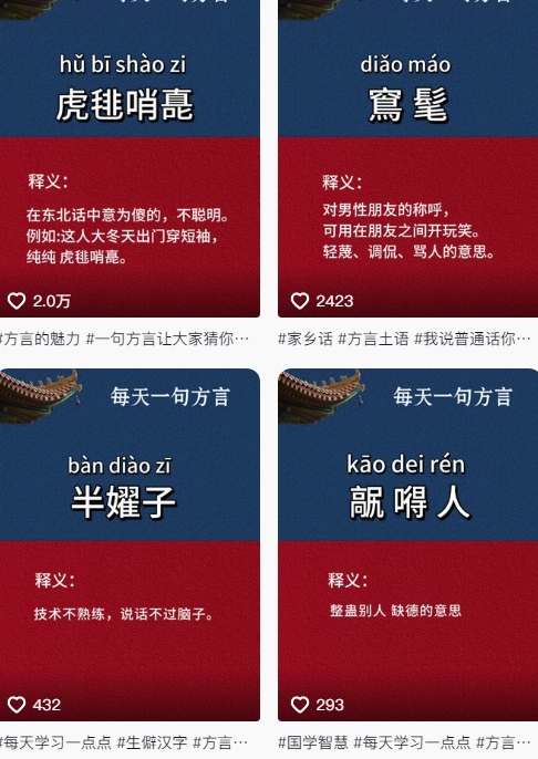 抖音最新涨粉玩法，图文方言暴力涨粉实操，126作品涨粉11W-灼光资源宝库