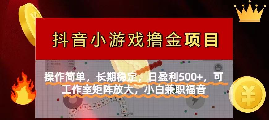 【抖音小游戏发行人计划项目】操作简单，长期稳定，日盈利500+，可工作...-灼光资源宝库