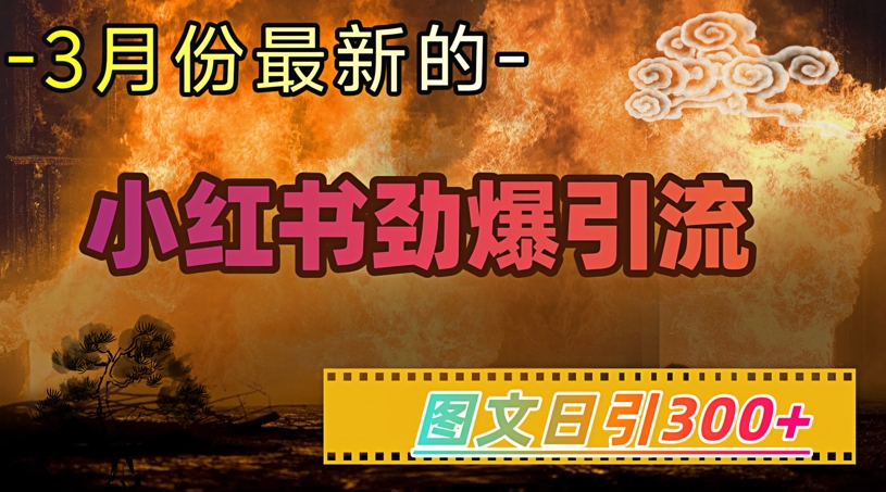 小红书超劲爆引流手段，图文日引300+轻松变现1W-灼光资源宝库