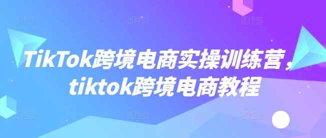TikTok跨境电商实操训练营，tiktok跨境电商教程-灼光资源宝库