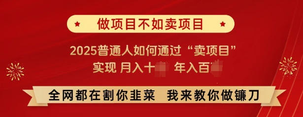 必看，做项目不如卖项目，2025普通人如何通过“卖项目”实现月入十个，年入百个-灼光资源宝库