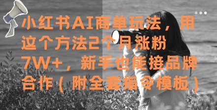 小红书AI商单玩法，用这个方法2个月涨粉7W+，新手也能接品牌合作(附全套指令模板)-灼光资源宝库