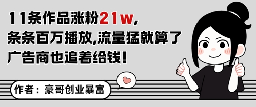 11条作品涨粉21W，条条百W播放，流量猛就算了，广告商也追着给钱-灼光资源宝库