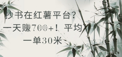 抄书在小红薯平台？平均一单30米，一天收益几张！-灼光资源宝库