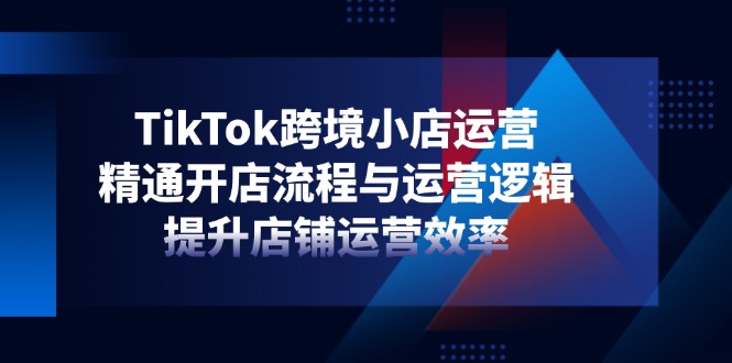 TikTok跨境小店运营，精通开店流程与运营逻辑，提升店铺运营效率-灼光资源宝库