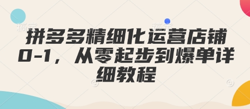 拼多多精细化运营店铺0-1,从零起步到爆单详细教程-灼光资源宝库