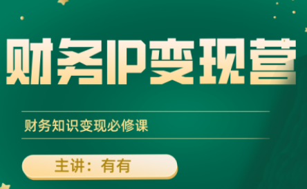 有有老师·财务IP变现营,财务知识变现必修课-蘑菇资源宝库