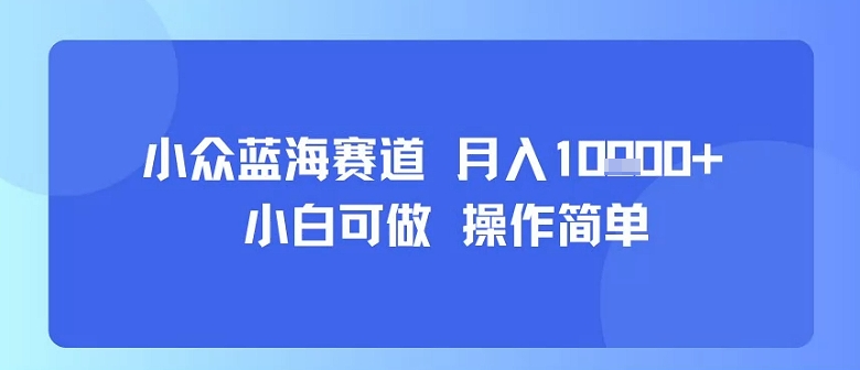 小众蓝海赛道，小白可做，操作简单，每天30分钟，月入1W+-灼光资源宝库