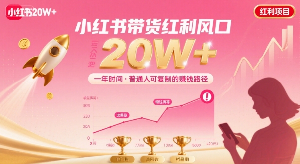 一年时间靠小红书带货项目年入20w+，最不能错的大红利项目-灼光资源宝库