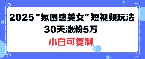 不露脸也能火！2025“氛围感美女”短视频玩法，30天涨粉5W小白可复制-灼光资源宝库