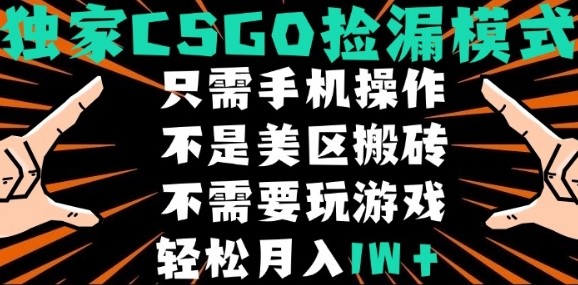 CSGO自动捡漏项目，最新独家玩法，不是美区搬砖，不需要了解和玩游戏，新手小白轻松月入1W+【揭秘】-灼光资源宝库