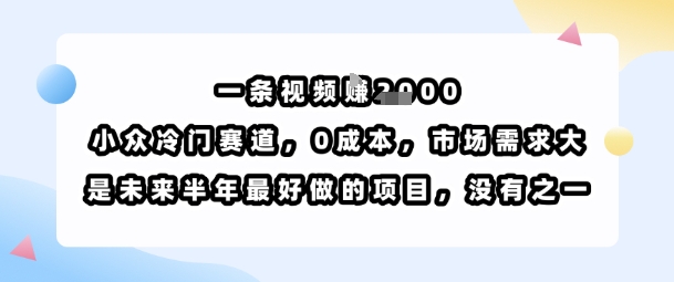 一条视频挣1k，小众冷门赛道，0成本，市场需求大，是未来半年最好做的项目，没有之一-灼光资源宝库