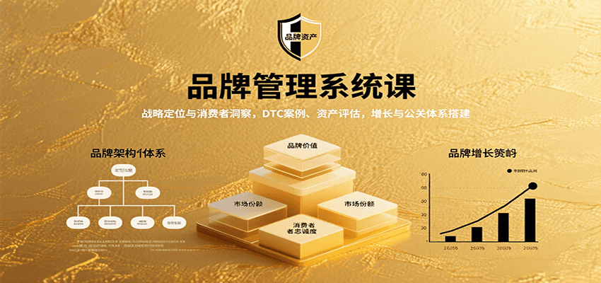 品牌管理系统课：战略定位与消费者洞察，DTC案例、资产评估，增长与公关体系搭建-灼光资源宝库