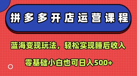 拼多多开店运营课程:蓝海变现玩法,轻松实现睡后收入,零基础小白也可日入5张-灼光资源宝库
