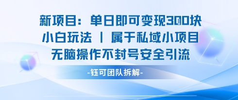 新项目单日即可变现3张的小白玩法无脑操作不封号安全引流-灼光资源宝库