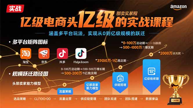 亿级电商头部卖家的实战课程：涵盖多平台玩法，实现从0到亿级规模的跃迁-灼光资源宝库