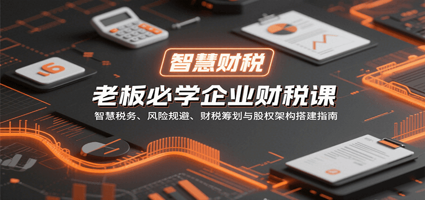 老板必学企业财税课：智慧税务、风险规避、财税筹划与股权架构搭建指南-灼光资源宝库